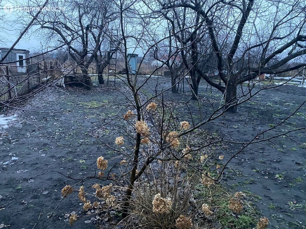 Купить недорого дом в селе Богана в Борисоглебском районе в Воронежской  области — 30 объявлений о продаже загородных домов на МирКвартир с ценами и  фото