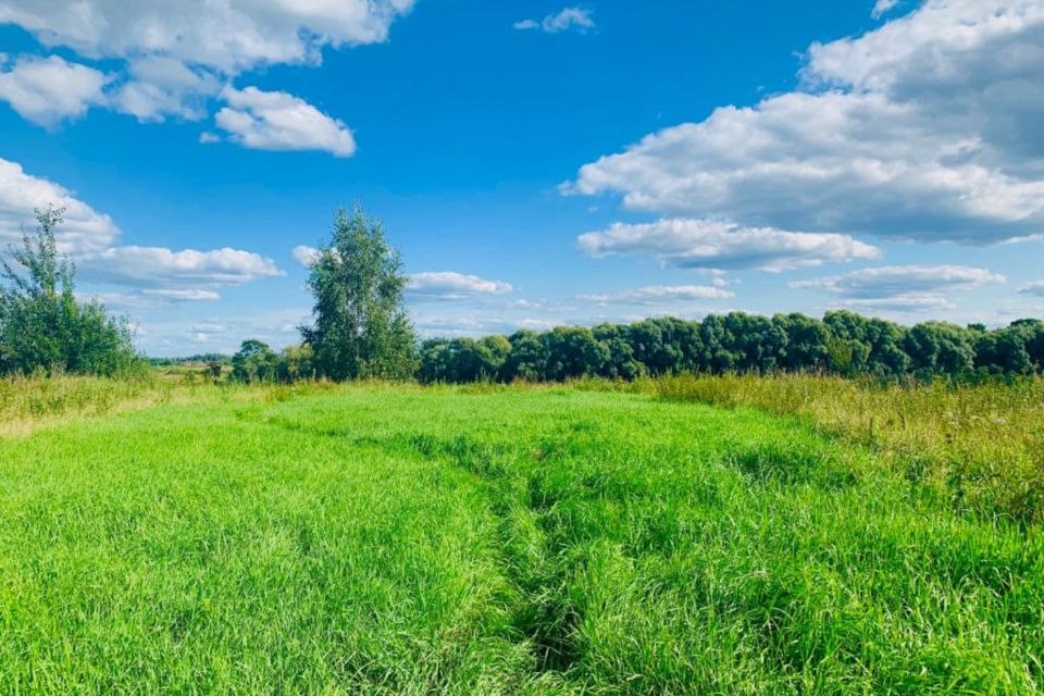 Купить Землю Новгородский Район