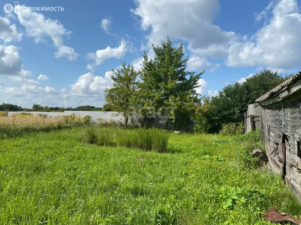 Купить недорого дом в деревне Вишневке в Карачевском районе в Брянской  области — 33 объявления о продаже загородных домов на МирКвартир с ценами и  фото