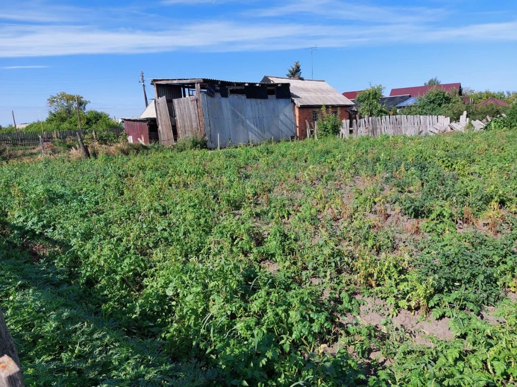 Купить дом в Черлакском районе в Омской области — 119 объявлений о продаже  загородных домов на МирКвартир с ценами и фото