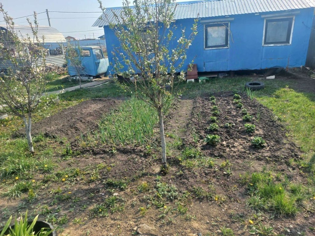 Купить дом в селе Киево в Ялуторовском районе в Тюменской области — 26  объявлений о продаже загородных домов на МирКвартир с ценами и фото