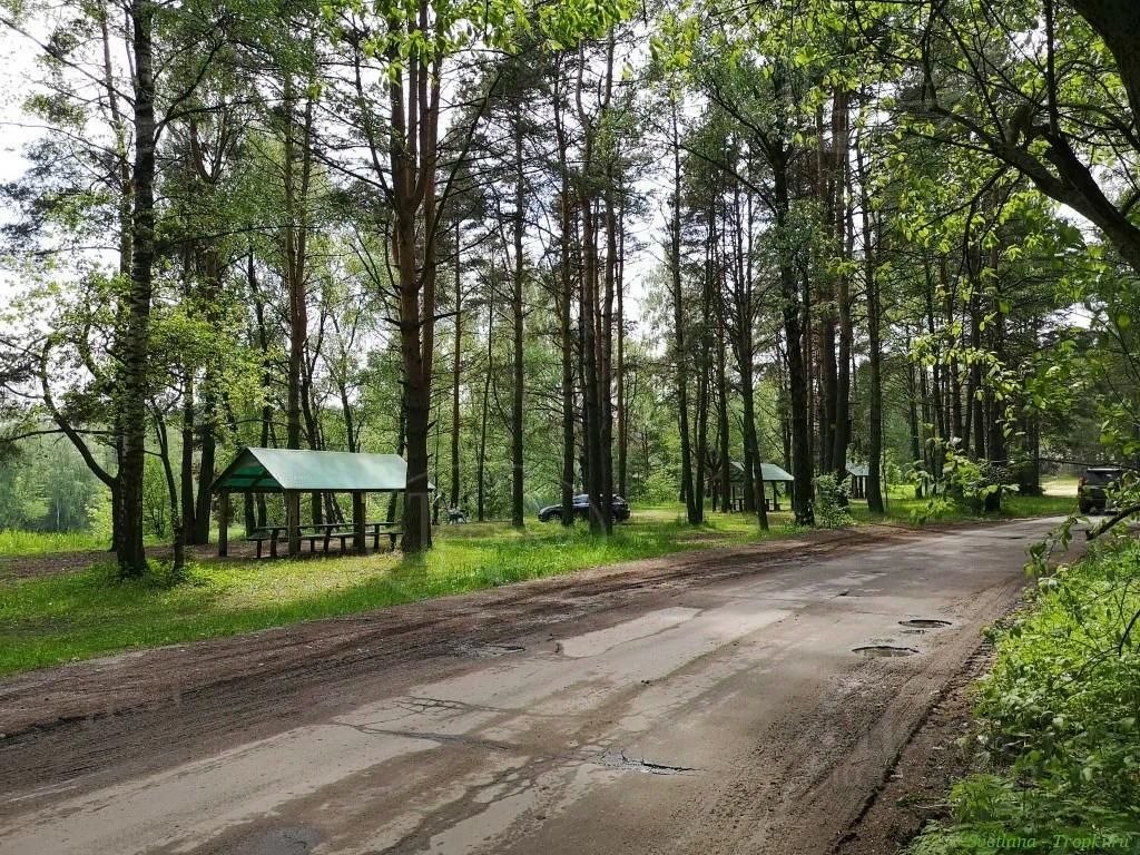 Купить участок в деревне Новосельцево в Мытищинском районе в Московской  области — 39 объявлений о продаже участков на МирКвартир с ценами и фото