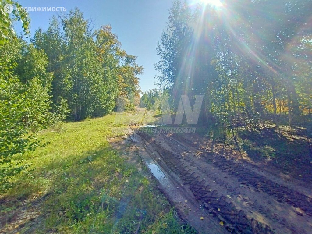 Купить участок в переулке Букина в селе Кузнецком в Аргаяшском районе — 27  объявлений о продаже участков на МирКвартир с ценами и фото