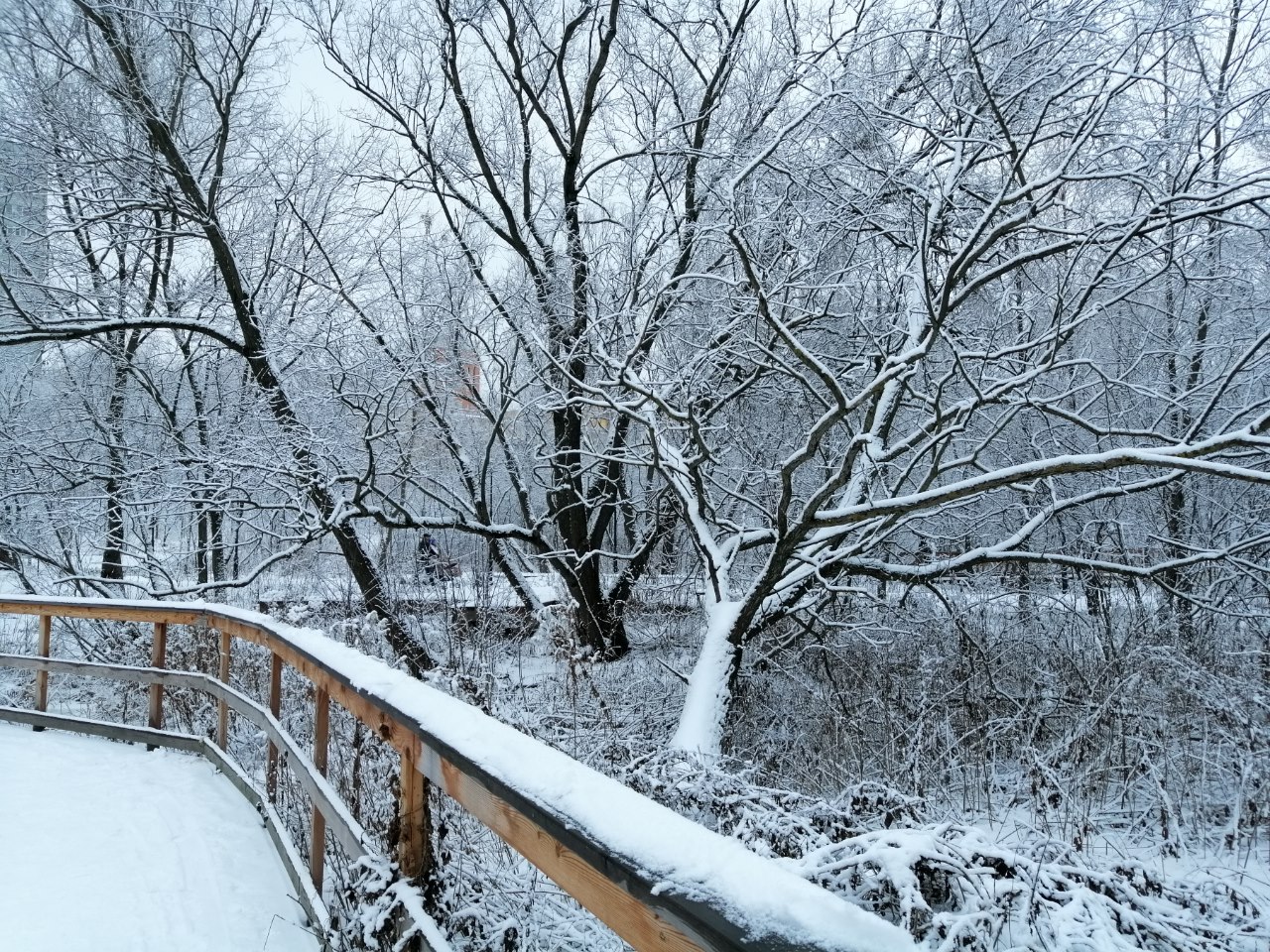 Зимняя сказка за городом. Фото: Мир Квартир